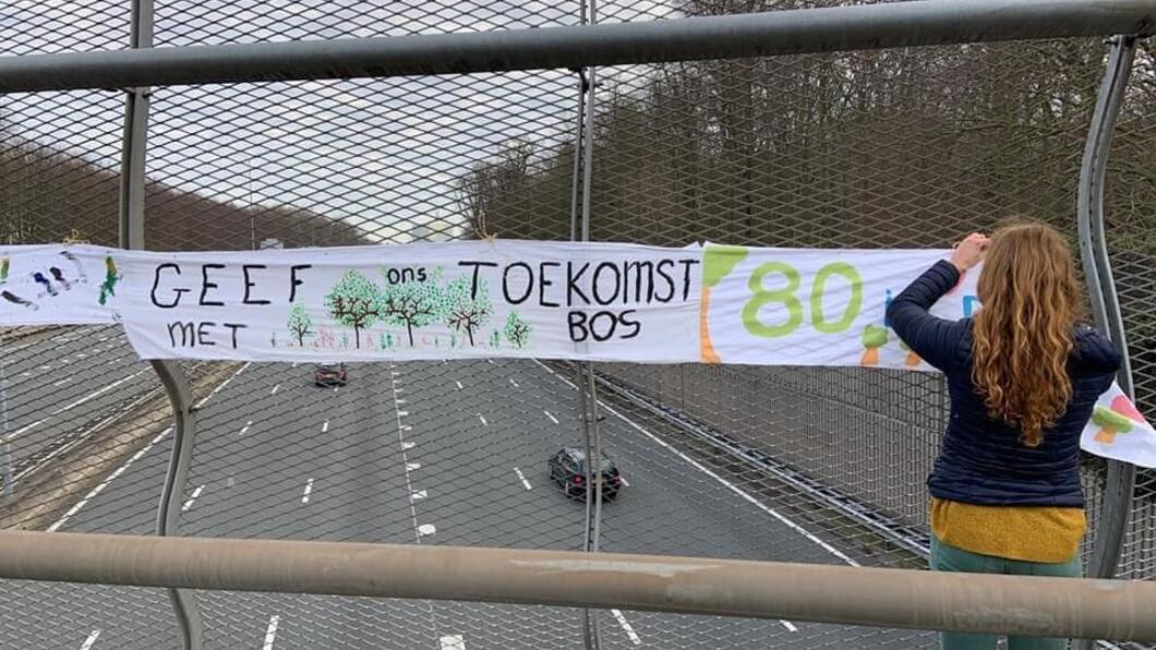 Spandoek Amelisweerd