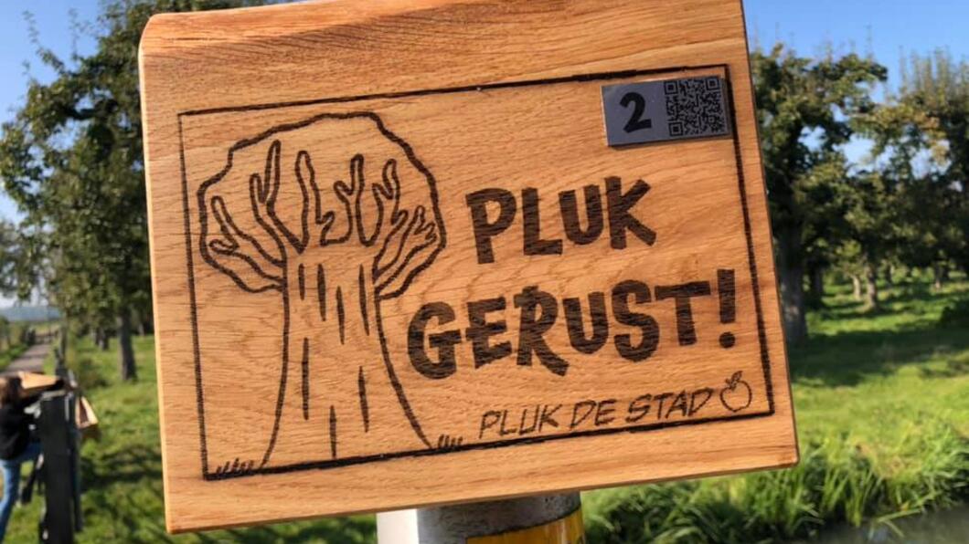 Pluk Gerust