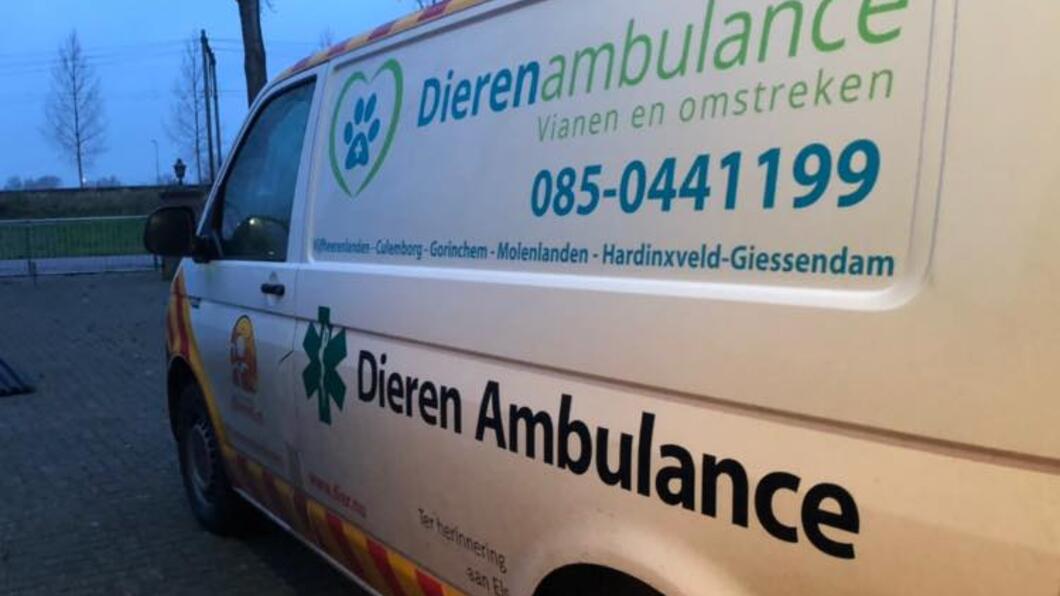 Dieren Ambulance