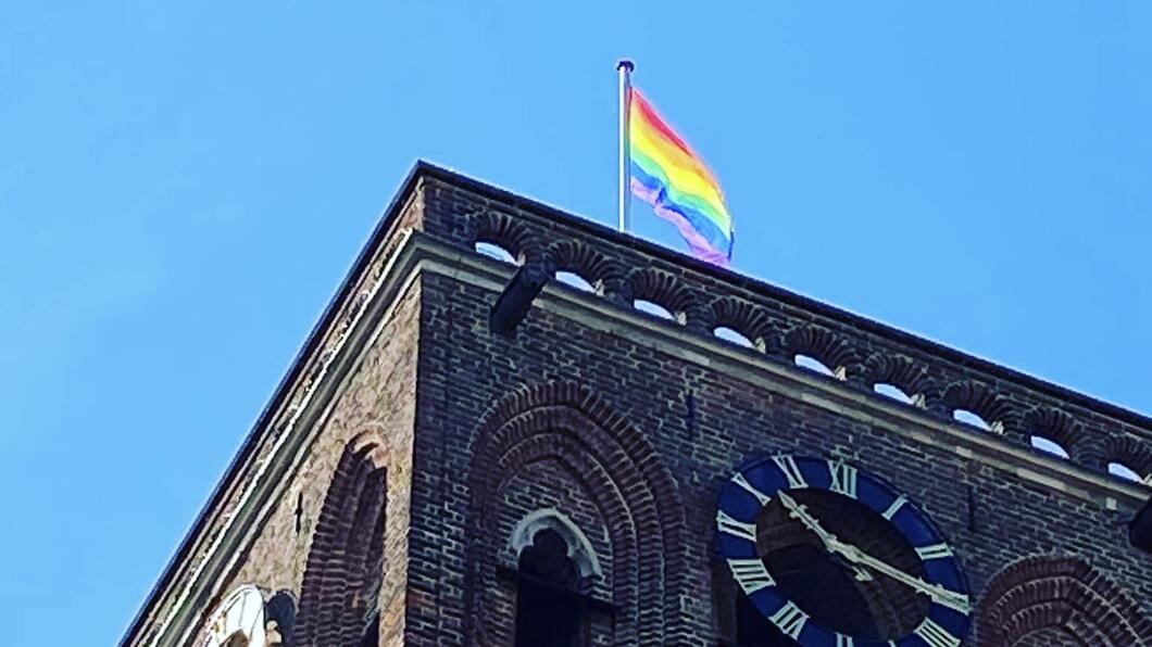 Regenboogvlag Culemborg