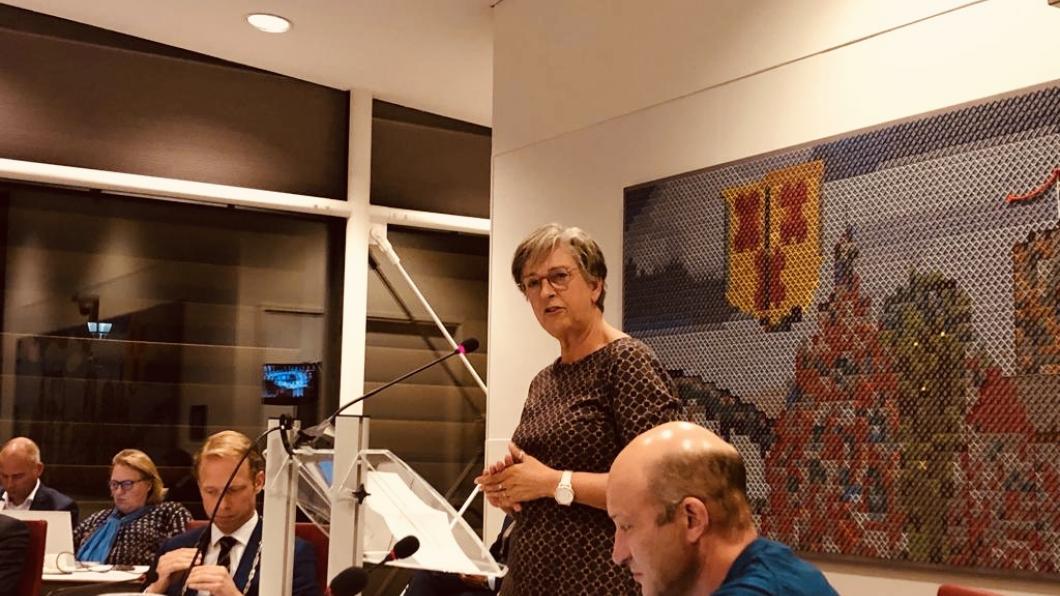 GL-raadsleden Conny en Bas tijdens de gemeenteraad Conny en Bas tijdens de raad van 4 april 2019.jpg