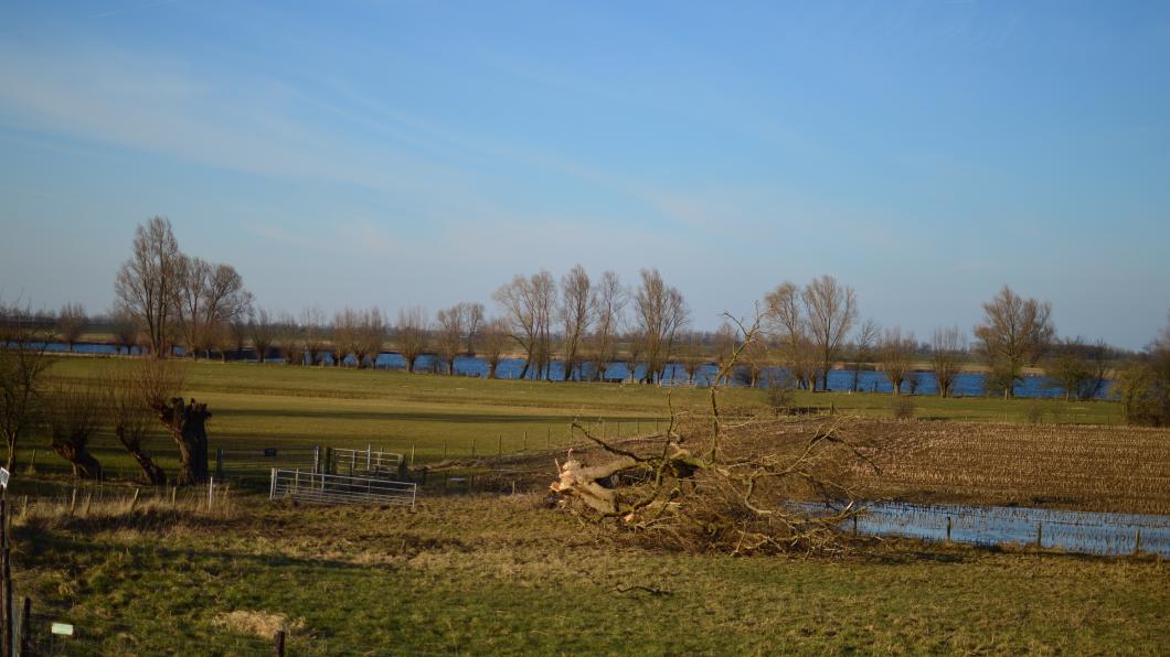 DSC_0080 2.JPG