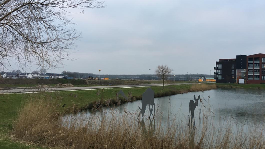 Distelvlinderlaan in de wijk Parijsch-Zuid
