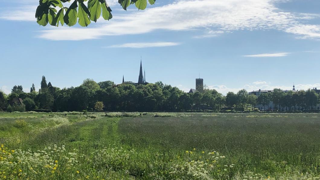Stadsgezicht Culemborg.JPG