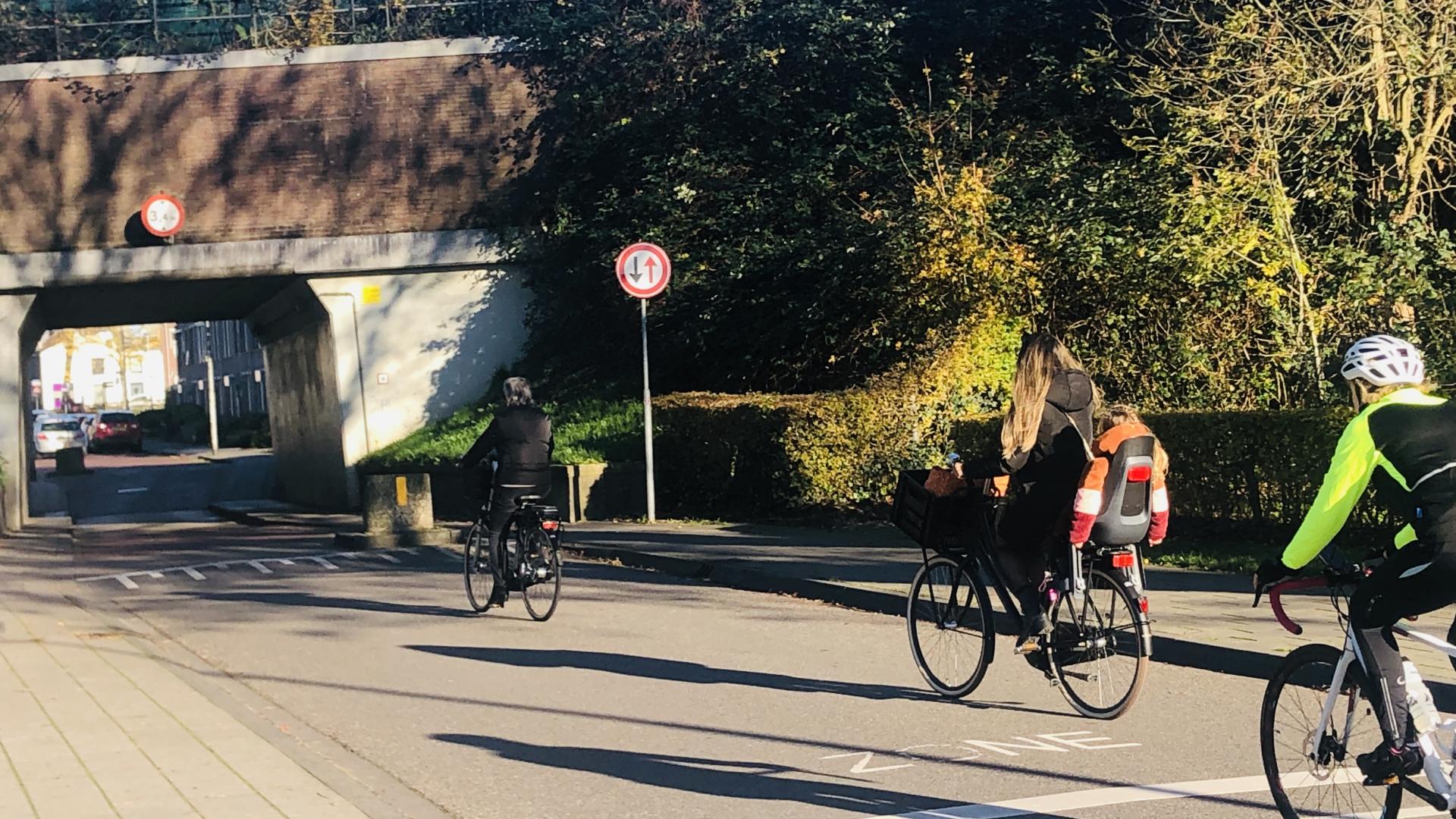 Fietsen door de Vianense poort