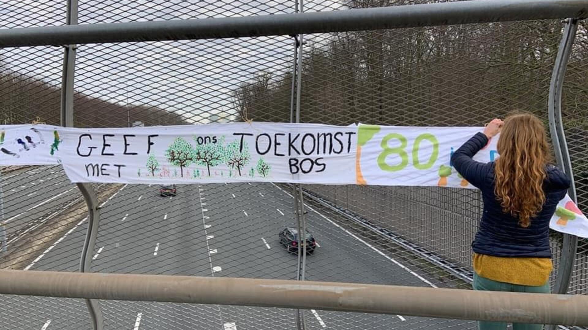 Spandoek Amelisweerd